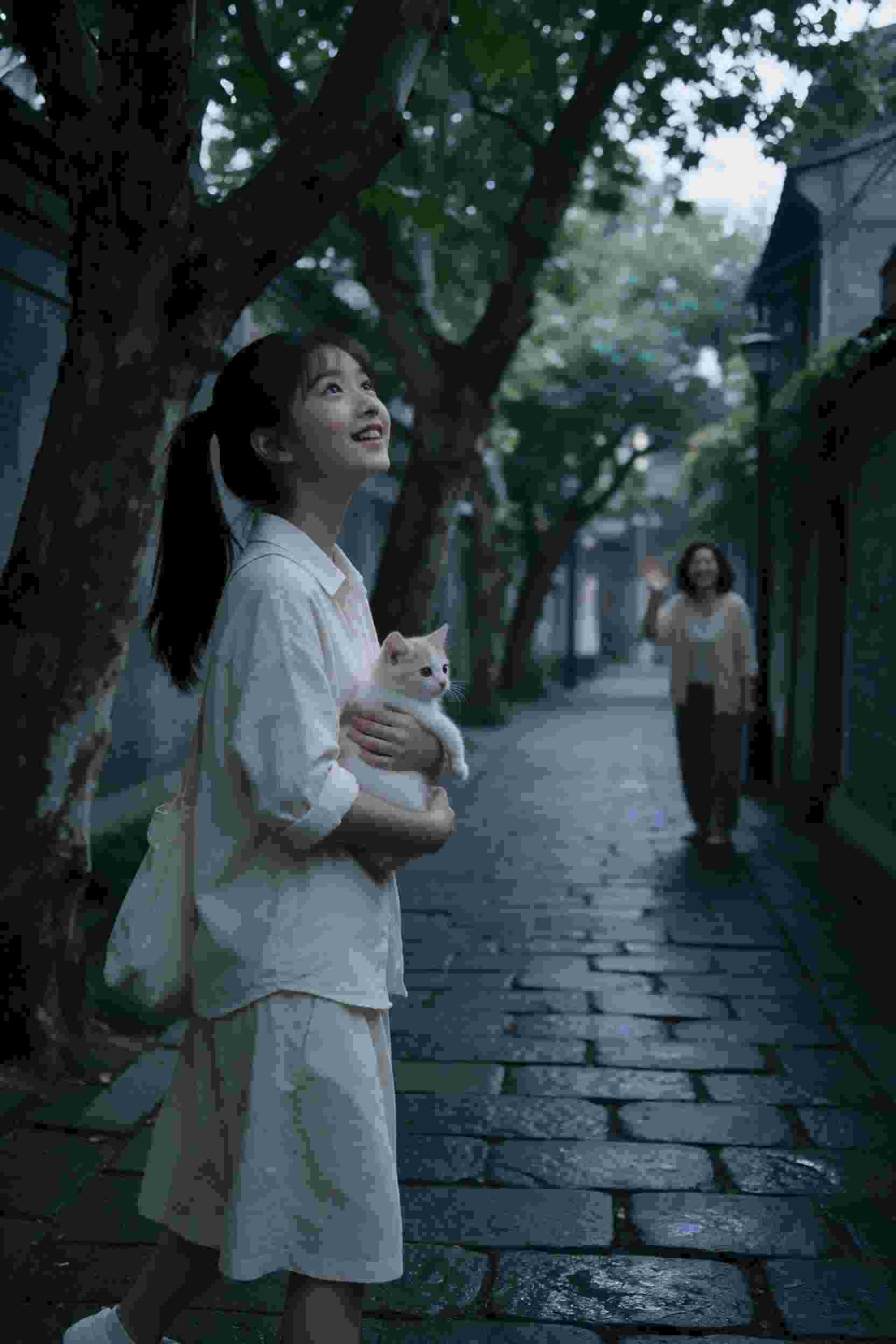 异世界转生为蜘蛛怎么办